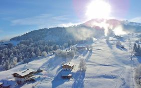 Chalet Berghof Webern